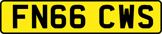 FN66CWS