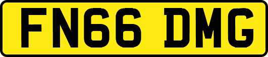 FN66DMG