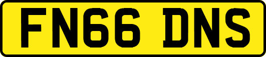 FN66DNS