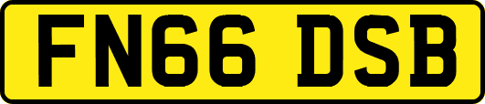FN66DSB