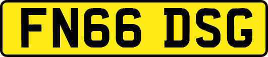 FN66DSG