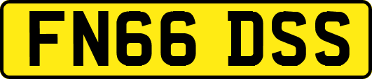 FN66DSS