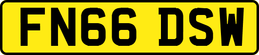 FN66DSW