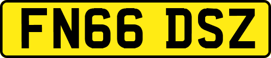 FN66DSZ