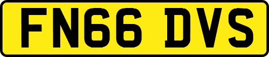 FN66DVS
