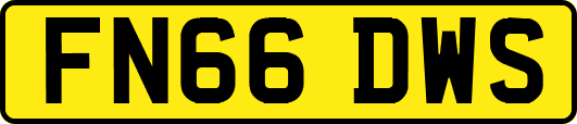 FN66DWS
