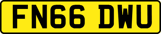 FN66DWU