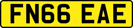 FN66EAE