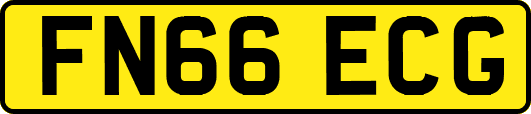 FN66ECG