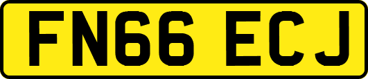FN66ECJ
