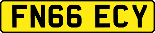 FN66ECY