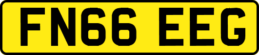 FN66EEG