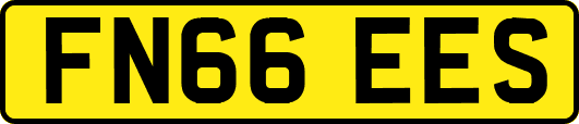FN66EES