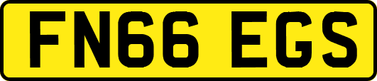 FN66EGS