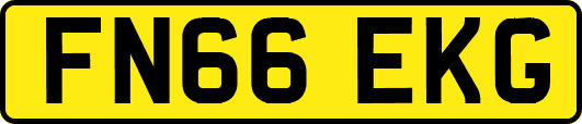 FN66EKG