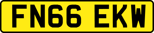FN66EKW
