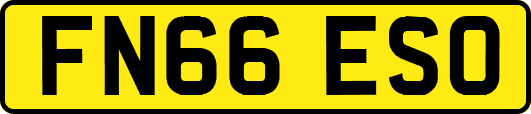 FN66ESO