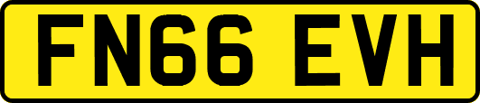 FN66EVH