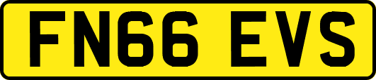 FN66EVS