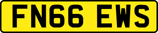 FN66EWS