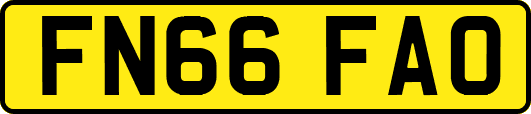 FN66FAO