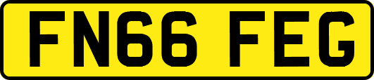 FN66FEG