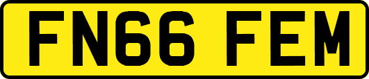 FN66FEM