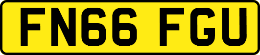 FN66FGU