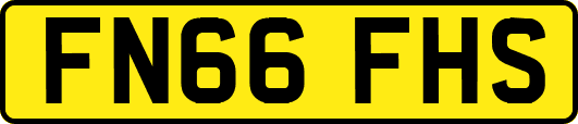 FN66FHS