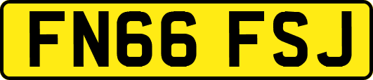 FN66FSJ