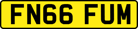 FN66FUM