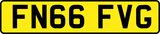 FN66FVG