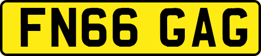 FN66GAG