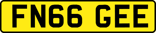 FN66GEE