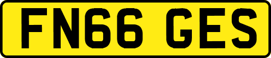 FN66GES