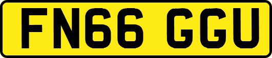 FN66GGU