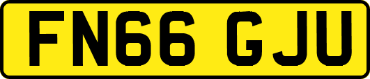 FN66GJU