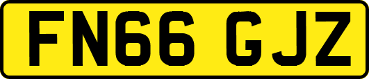 FN66GJZ