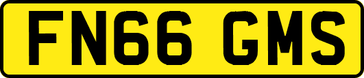 FN66GMS