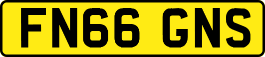 FN66GNS
