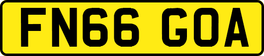 FN66GOA