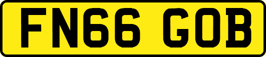 FN66GOB