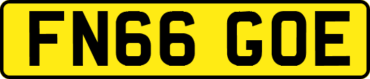 FN66GOE