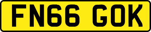 FN66GOK