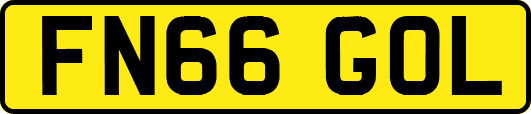 FN66GOL