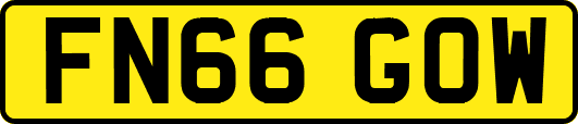 FN66GOW