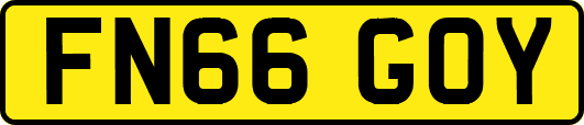 FN66GOY