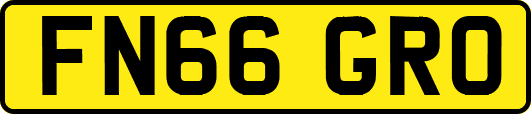 FN66GRO