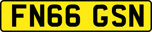FN66GSN
