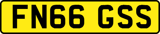 FN66GSS